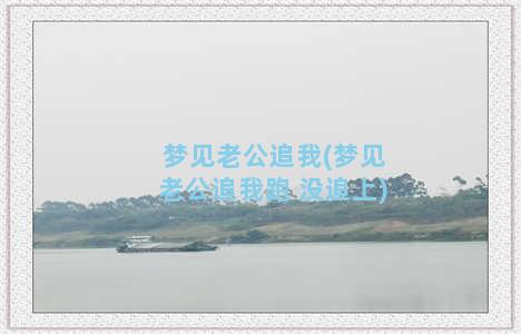 梦见老公追我(梦见老公追我跑 没追上)